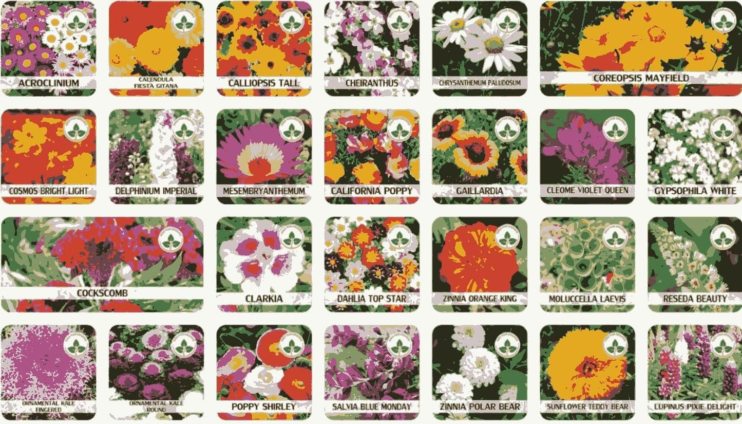 100 Flower Seed Mix + Free Growth Booster 🌸🌱