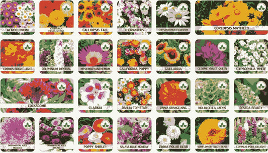 100 Flower Seed Mix + Free Growth Booster 🌸🌱