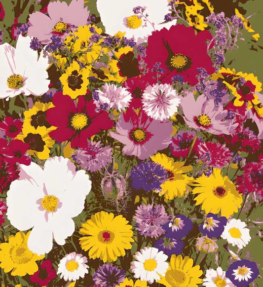 100 Flower Seed Mix + Free Growth Booster 🌸🌱
